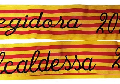 ALCALDESSA I REGIDORA 2017